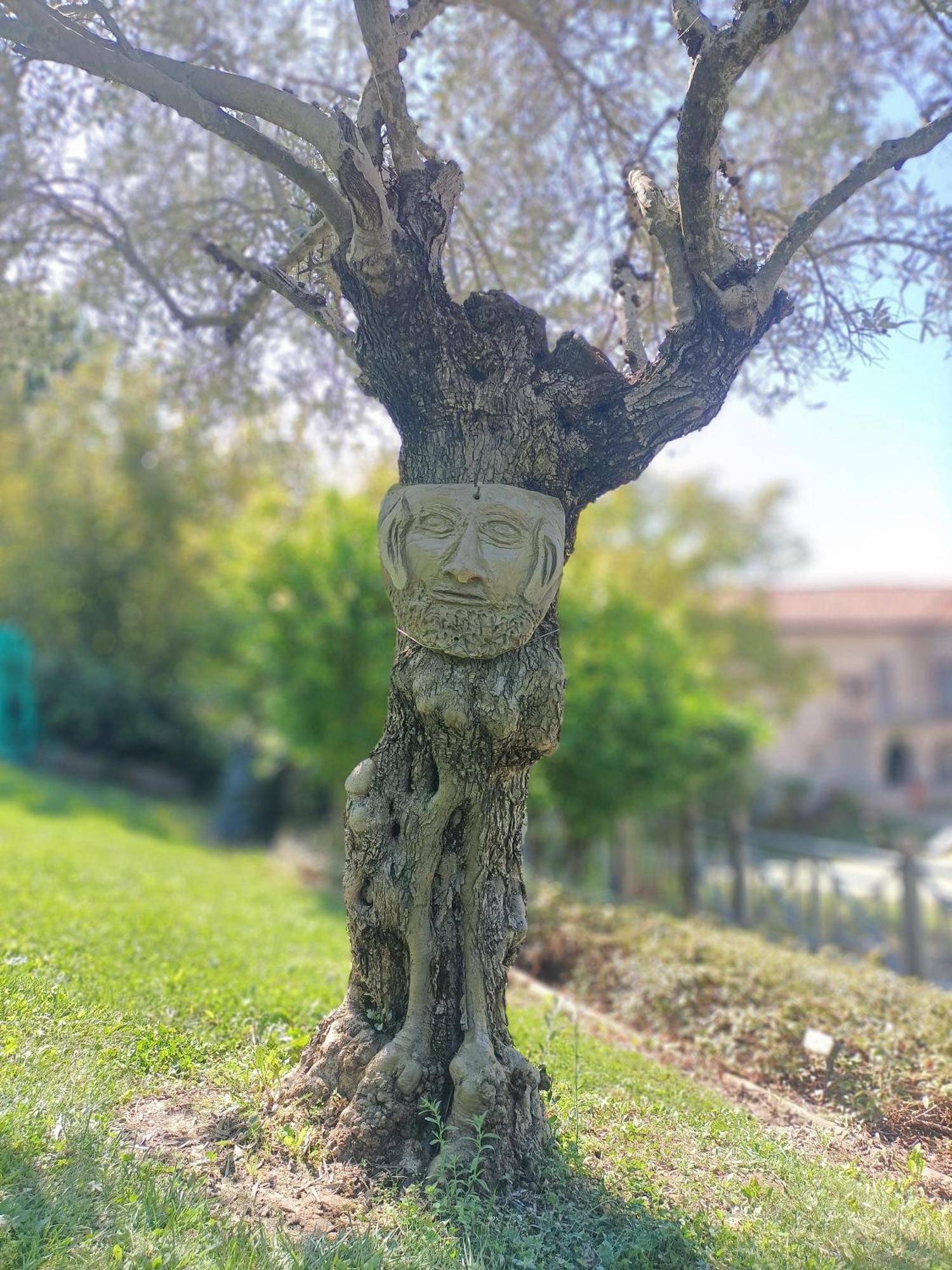 Casa Del Canta Borgomale Kültér fotó