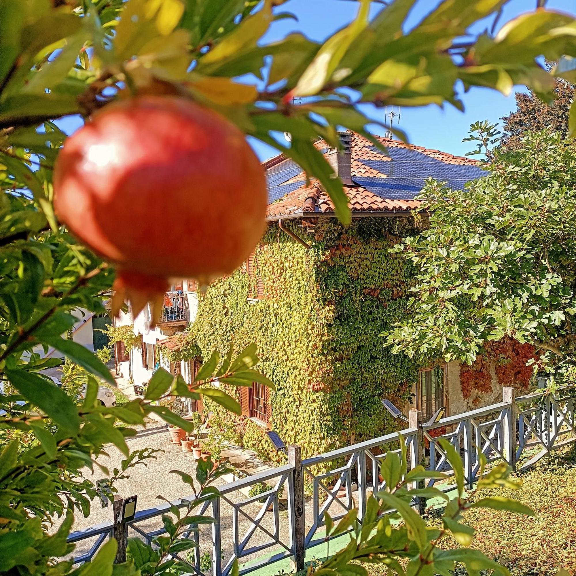 Casa Del Canta Borgomale Kültér fotó